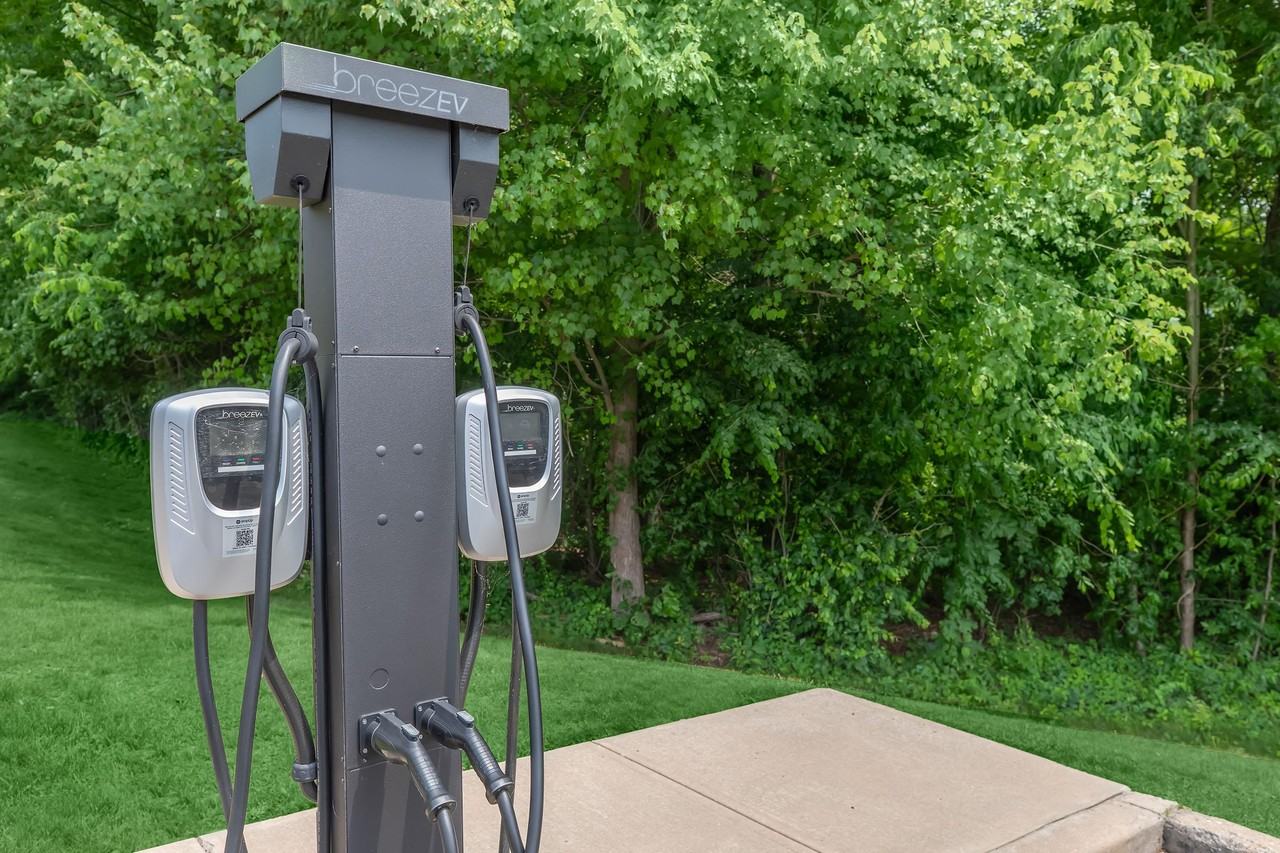 Vintage at the Grove - Photo 7 of 42