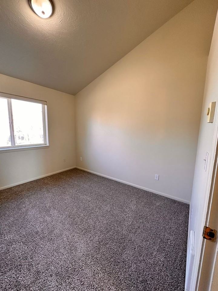 Sam 17 - Photo 3 of 41