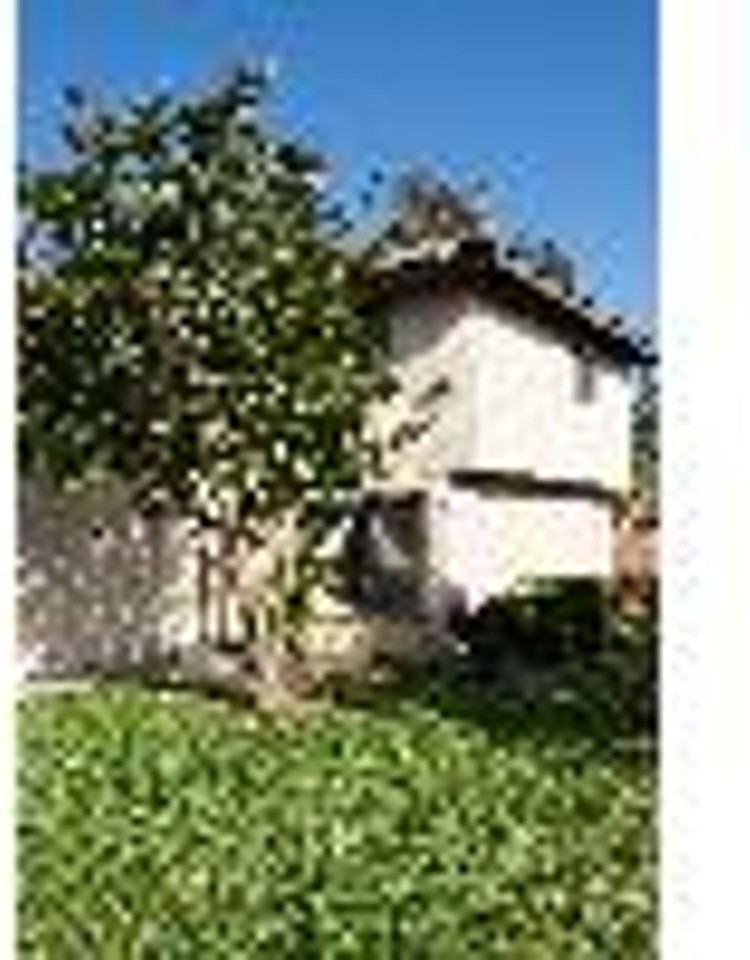 Triumph - Photo 3 of 17