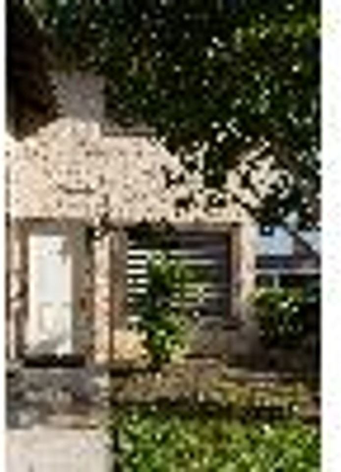 Triumph - Photo 4 of 17