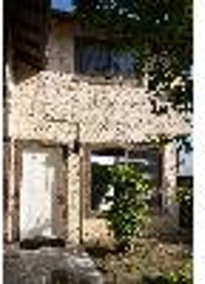 Triumph - Photo 5 of 17