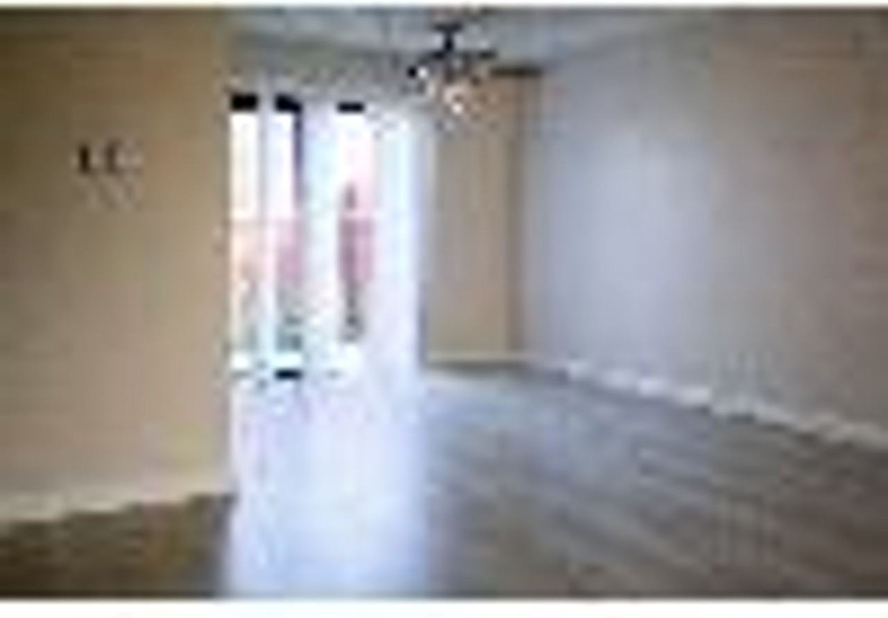 Triumph - Photo 7 of 17