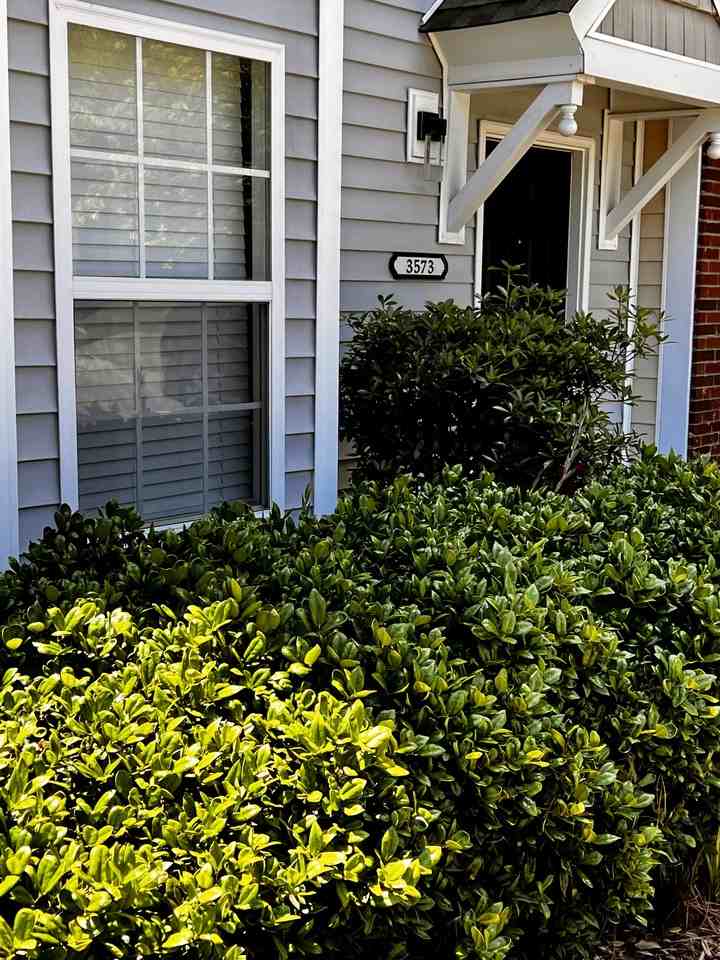 3569 Draycott Ave #3569 - Photo 2 of 18