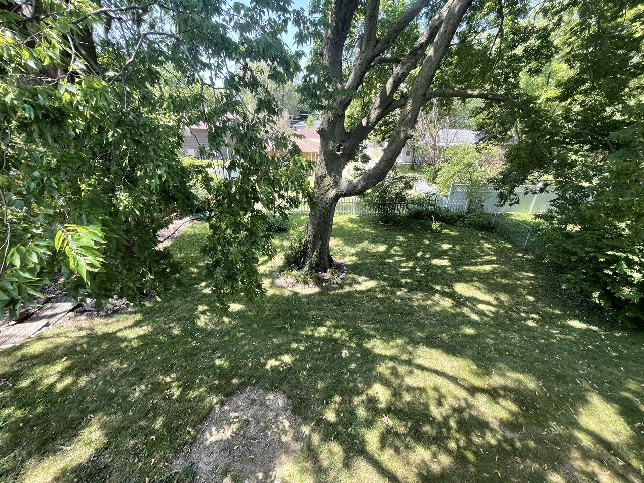 3409 North California Avenue #B - Photo 5 of 23