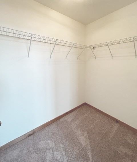 Apartments at The Mill - Photo 7 of 50