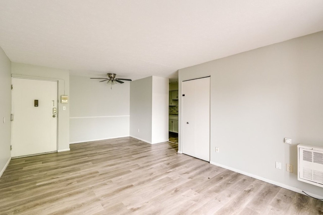 Modern Lakewood Apartments - Photo 5 of 16