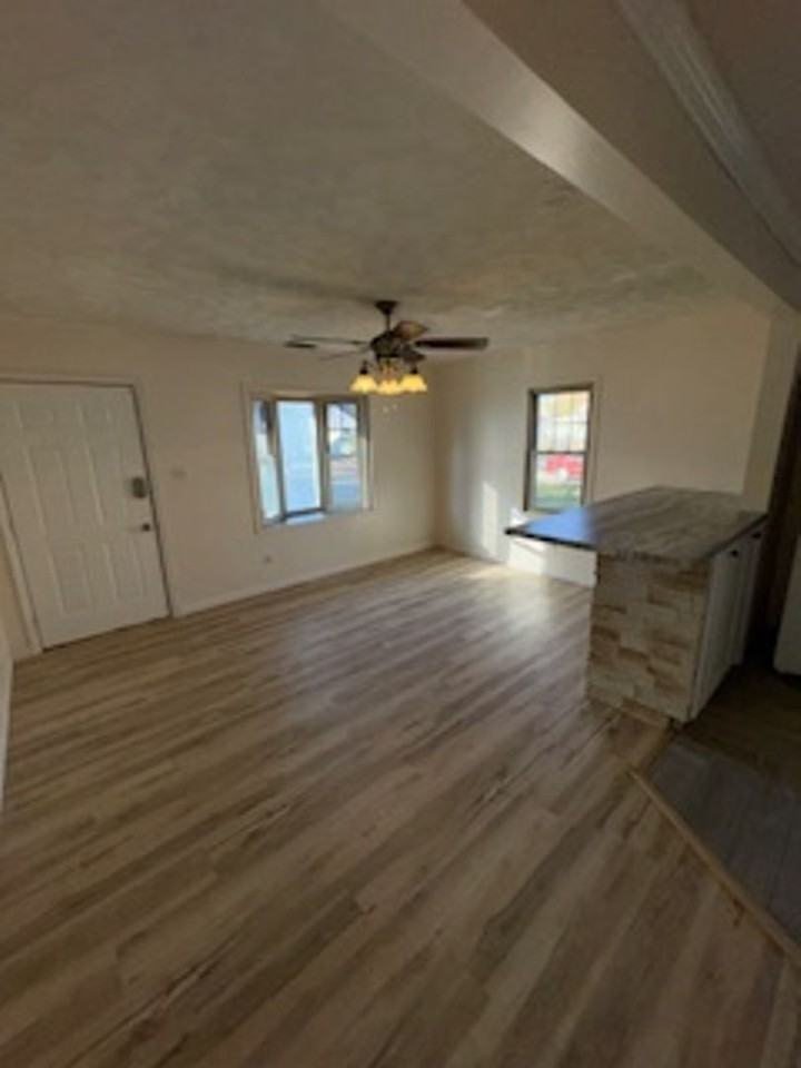 913 N Spring St - Photo 2 of 12