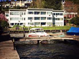 Blue Dolphin - Photo 1 of 1