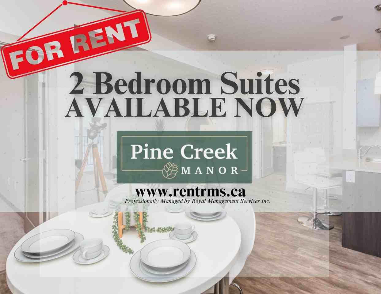 Apartments for Rent in Jackson Heights, Edmonton, AB 25 Rentals Zumper