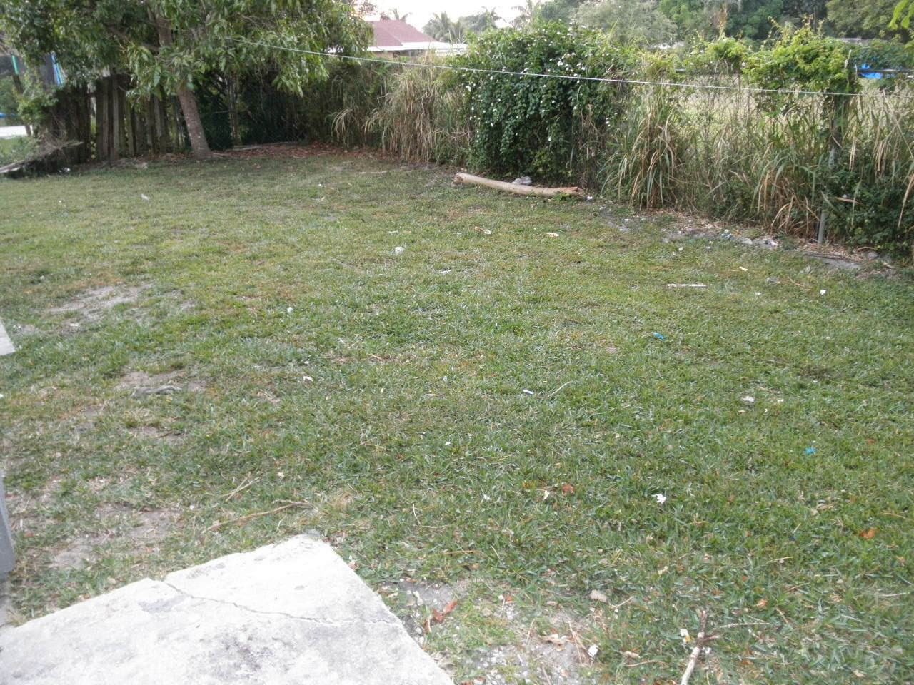 3958 Pesiri Ln - Photo 2 of 9
