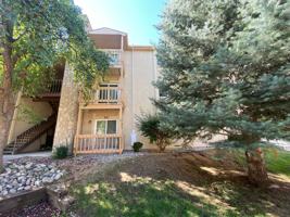 featured image of 842 Tenderfoot Hill Rd #101