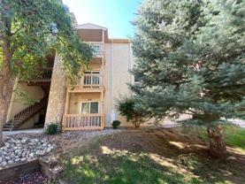842 Tenderfoot Hill Rd #101 - Photo 1 of 1