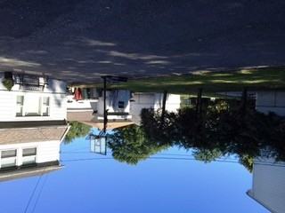 533 Lowe Ave - Photo 2 of 8