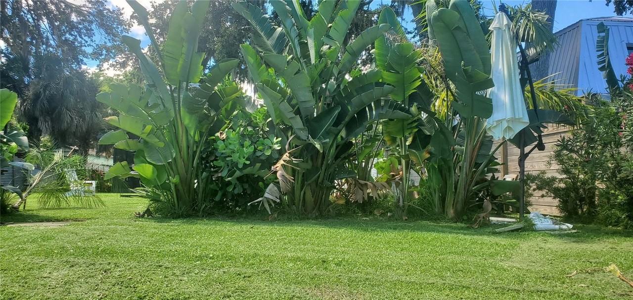 234 Indian Creek Rd - Photo 6 of 32