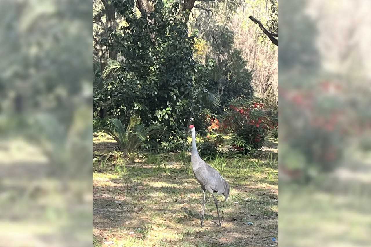 15450 Se 156th Place Rd - Photo 2 of 18