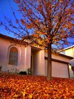 featured image of 111 Lembi Dr #NA