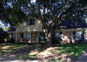 featured image of 10114 Village Green Dr