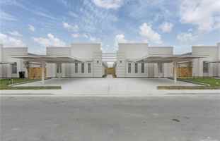 featured image of Petri Dr #4