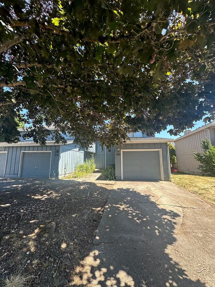 Arabian 2 - Photo 2 of 3