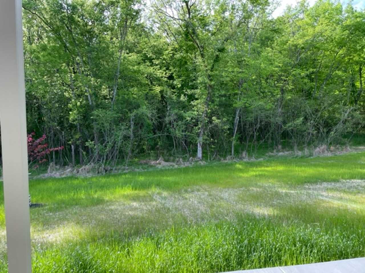 126 Eladi Trl - Photo 5 of 41