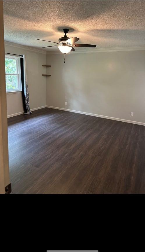 1023 Live Oak Dr - Photo 2 of 24