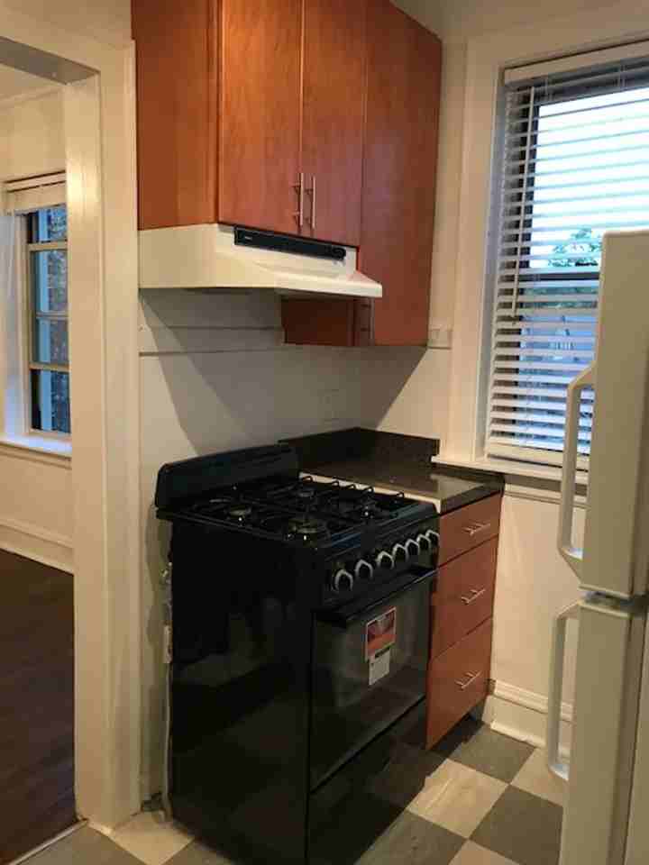 1723-35 W. Thorndale - Photo 2 of 11