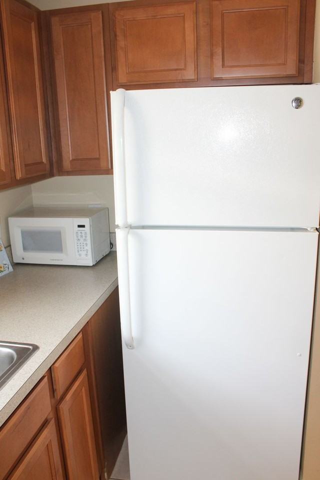 14252 Confetti Dr - Photo 6 of 26