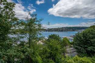 Dexter 8 - Photo 1 of 1