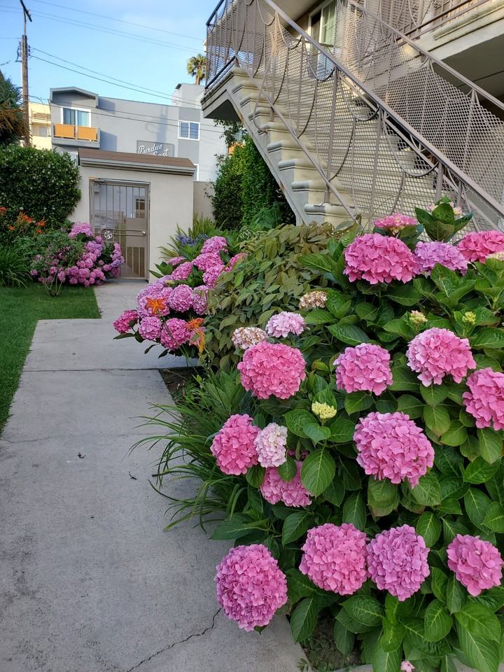 1717 Purdue Avenue #3 - Photo 2 of 11