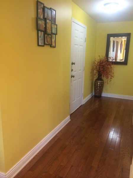 17 Frankie Ln - Photo 2 of 19