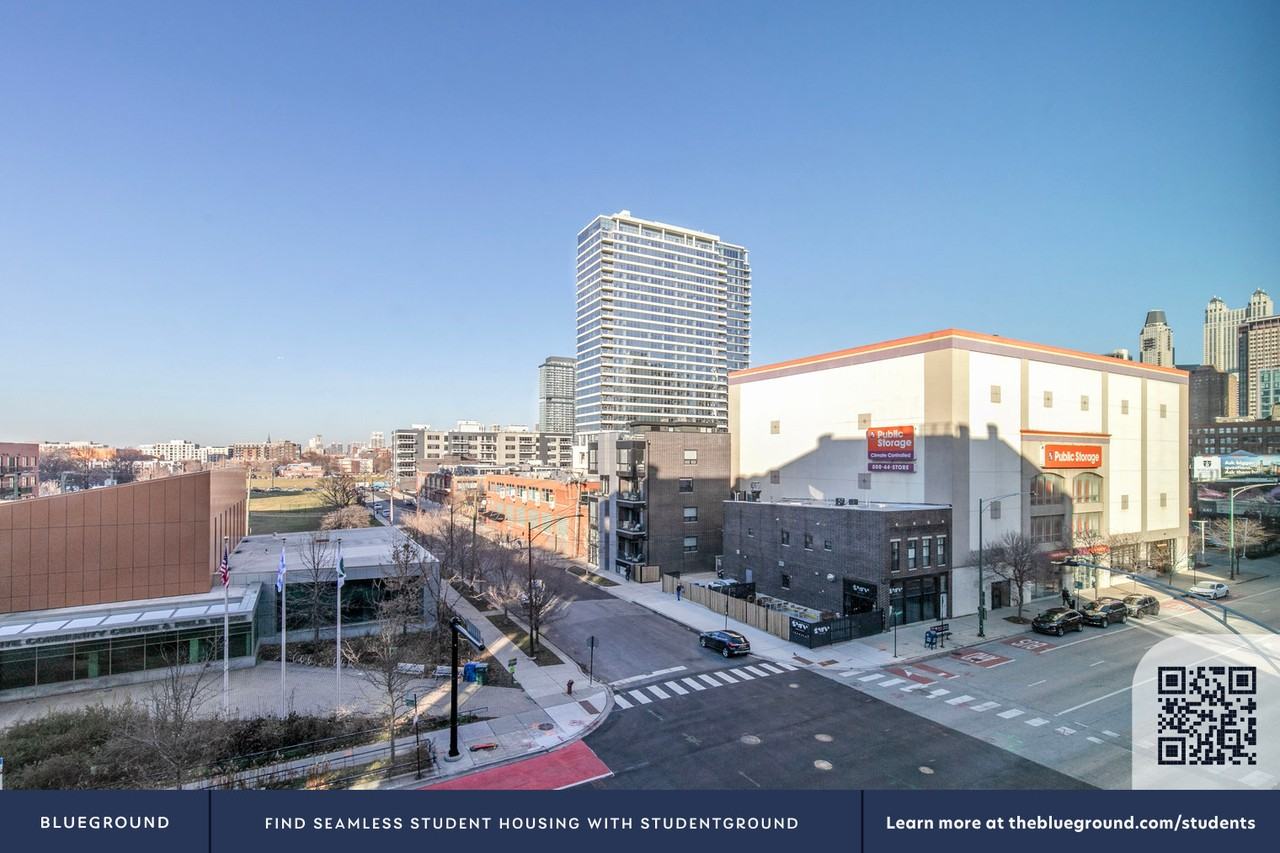 411 West Chicago Avenue - Photo 7 of 132