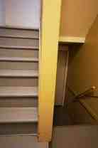 329 Wilkins St #4 - Photo 1 of 1