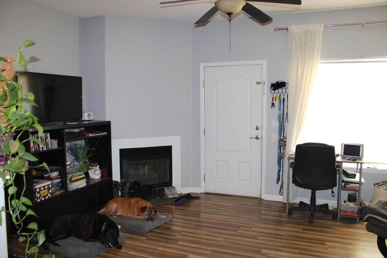 10320 W 55th Ln - Photo 3 of 24