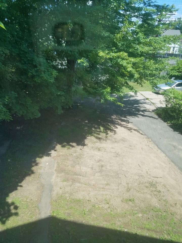 CASSIUS - Photo 3 of 37