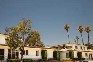 lak109 - Photo 1 of 1