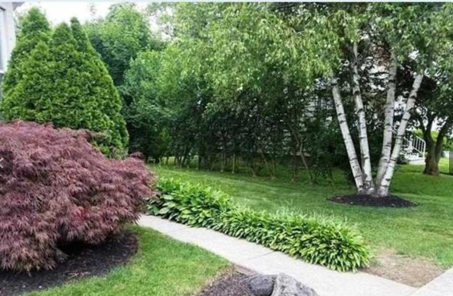 8 Maple Ave #1 - Photo 2 of 10