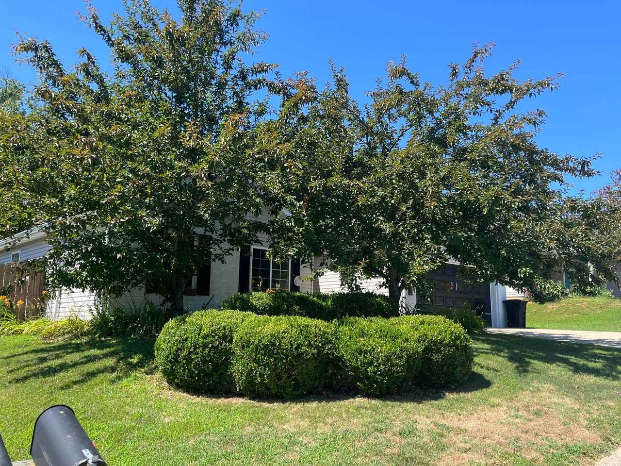 15958 Tracker Ln - Photo 3 of 44