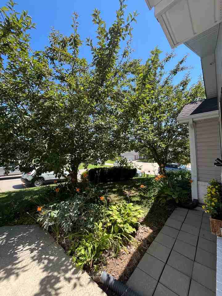 15958 Tracker Ln - Photo 6 of 45