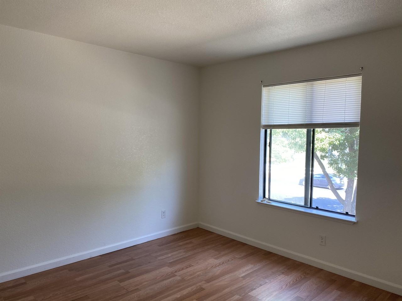 1513 Lynne Renee Ct - Photo 3 of 9