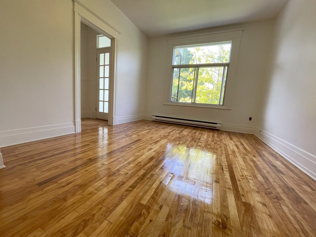 282 Rue Argyle - Photo 2 of 12