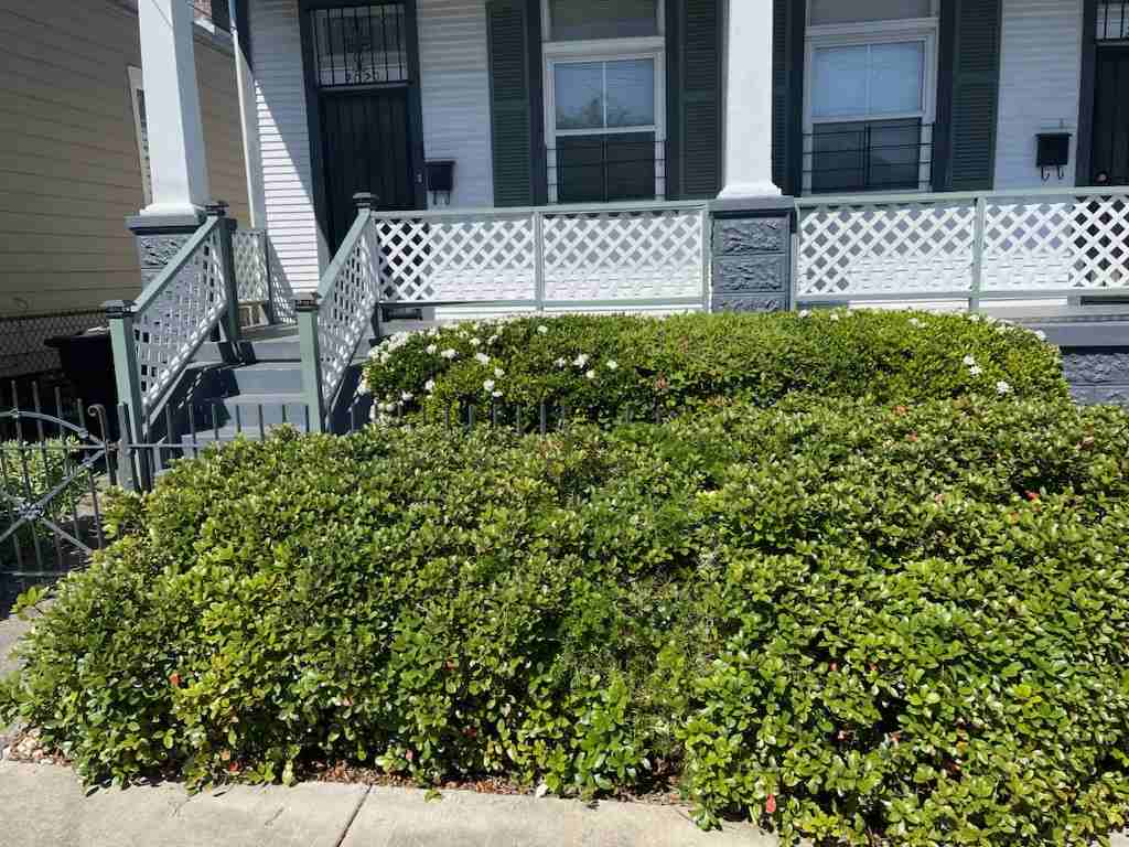 2027 Lapeyrouse St #NA - Photo 2 of 16