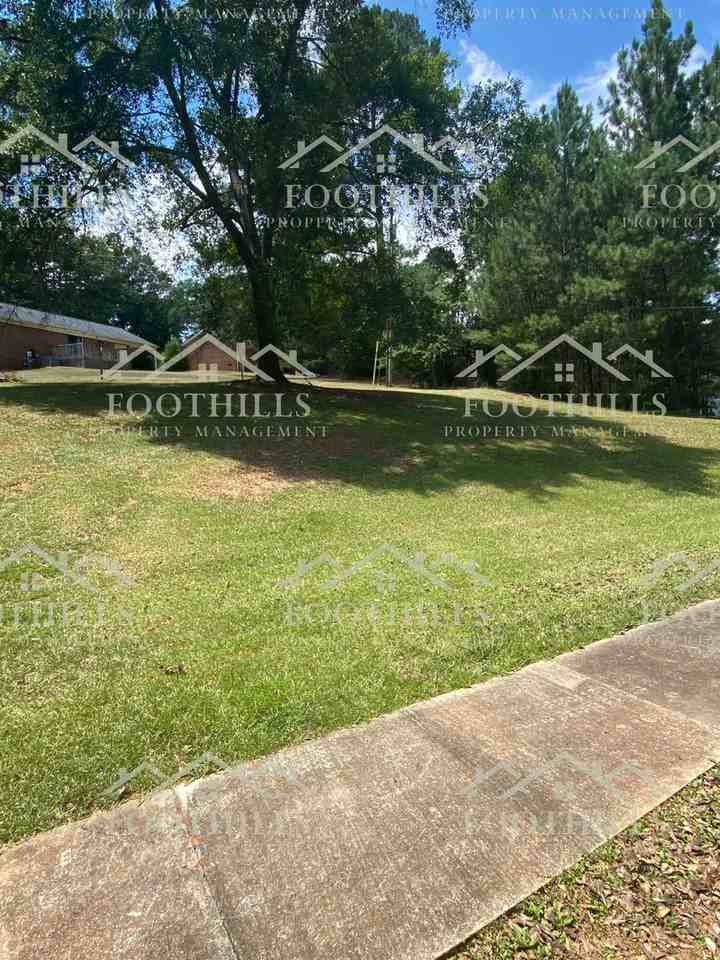 303 Green Forest Dr - Photo 3 of 17