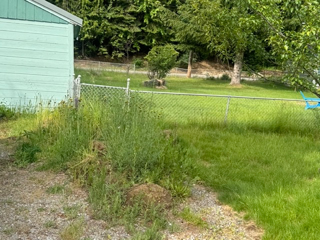 1023 E Larch Ave - Photo 3 of 13