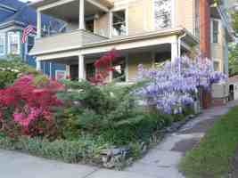 featured image of 175 #3 Alden Ave #175