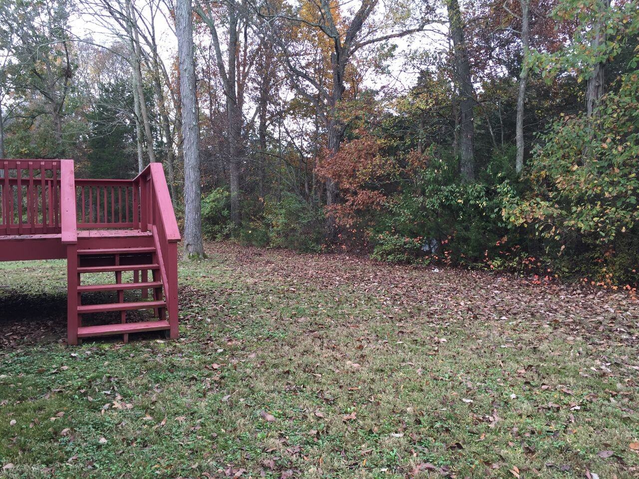 1713 Birdsong Chase - Photo 3 of 19