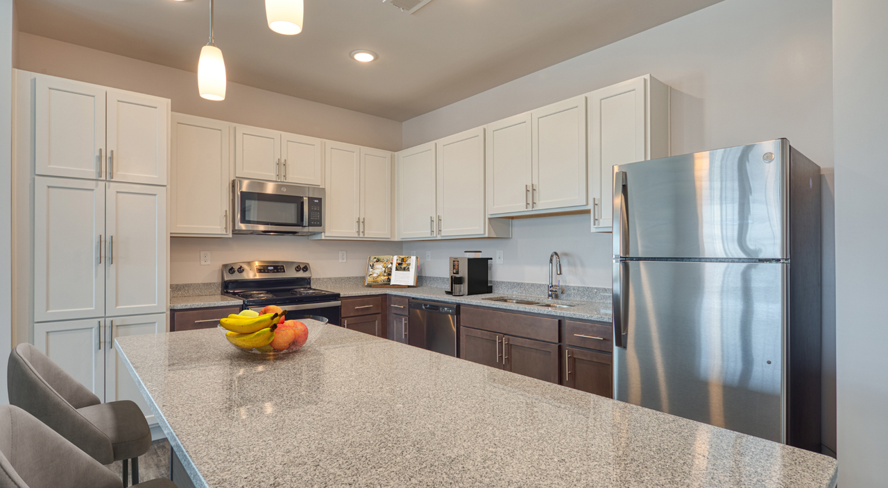 ERA at PARK 216 Apartments (Suffolk’s Newest 55+ Luxury Living Community) - Photo 5 of 36