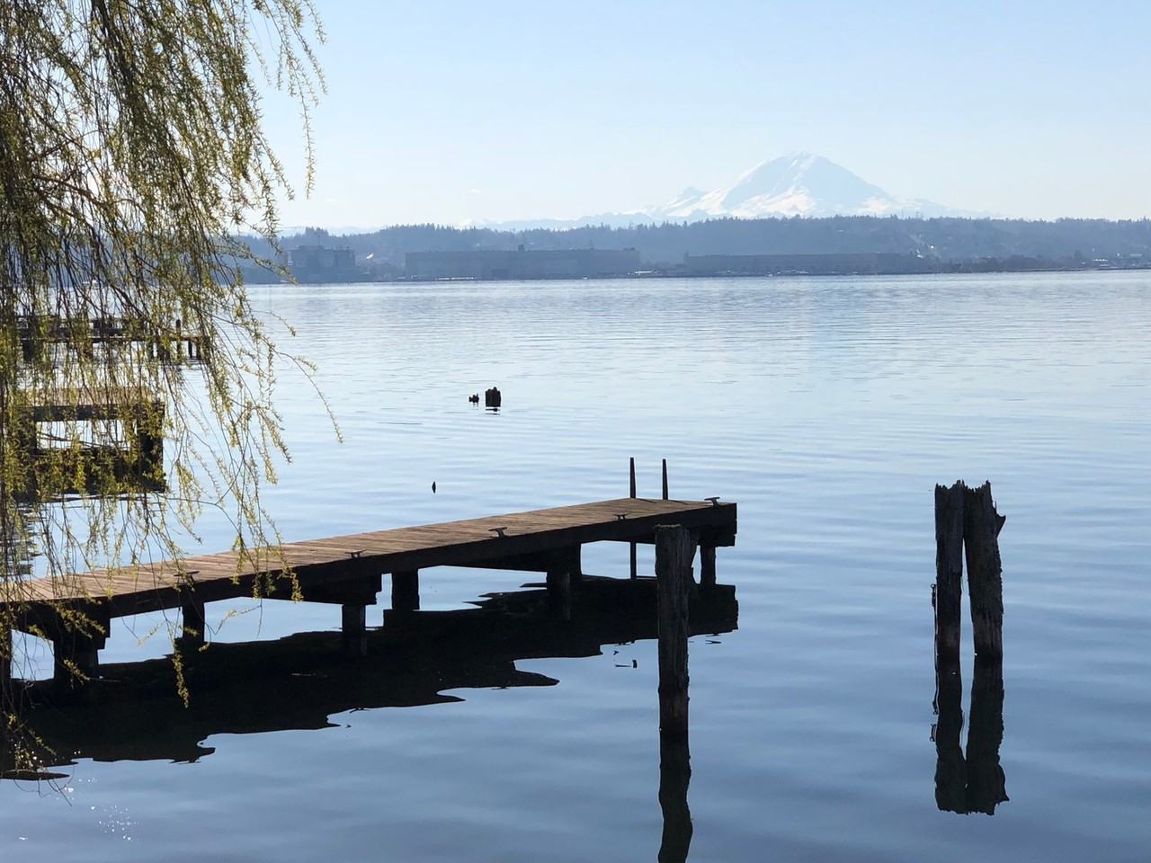 8279 W Mercer Way - Photo 7 of 50