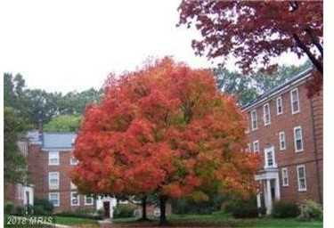 3400 39th St Nw #B716