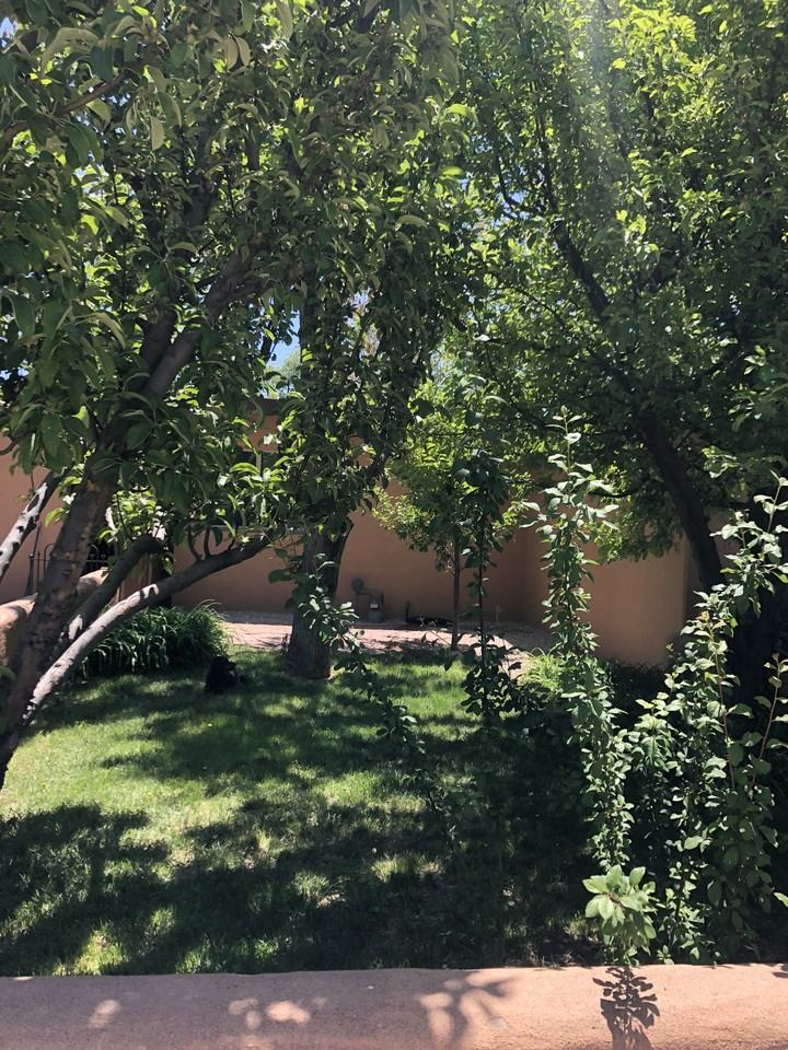 307 Alegre St - Photo 3 of 15