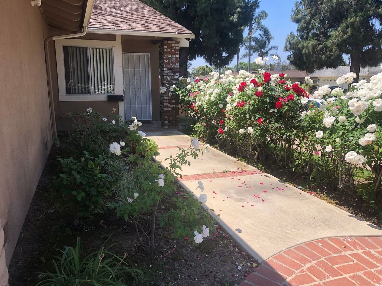 ork1832 - Photo 3 of 38